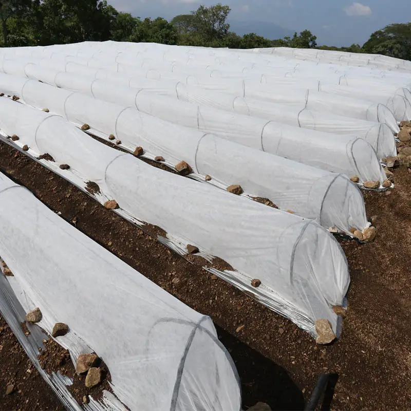 Cubierta de fila flotante no tejida 100% virgen ligera a precio de fábrica para verduras 1