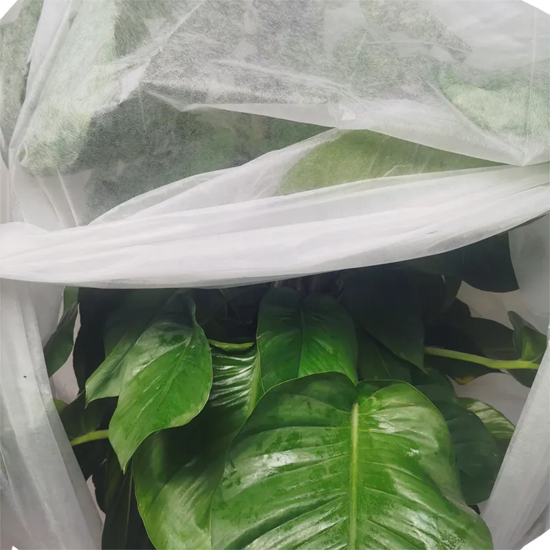 Controle não tecido preto UV da erva daninha da tela dos pp Spunbond da tela do jardim do anti preto UV da agricultura 1