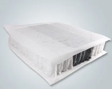 rayson nonwoven Array image110