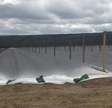 rayson nonwoven Array image99