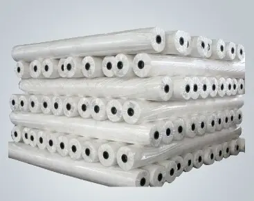 rayson nonwoven Array image79