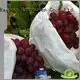 نسيج المناظر الطبيعية لمكافحة الحشائش 3uv نسيج المناظر الطبيعية القابل للتحلل الحيوي رايسون محبوكة ، ruixin ، العلامة التجارية البيئية 1