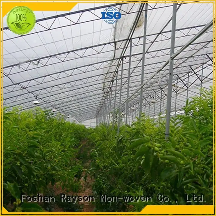 Rayson-Vliesstoff, Ruixin, Enviro Brand Frost Color Textiles, maßgeschneiderter Unkrautbekämpfungs-Landschaftsstoff 1