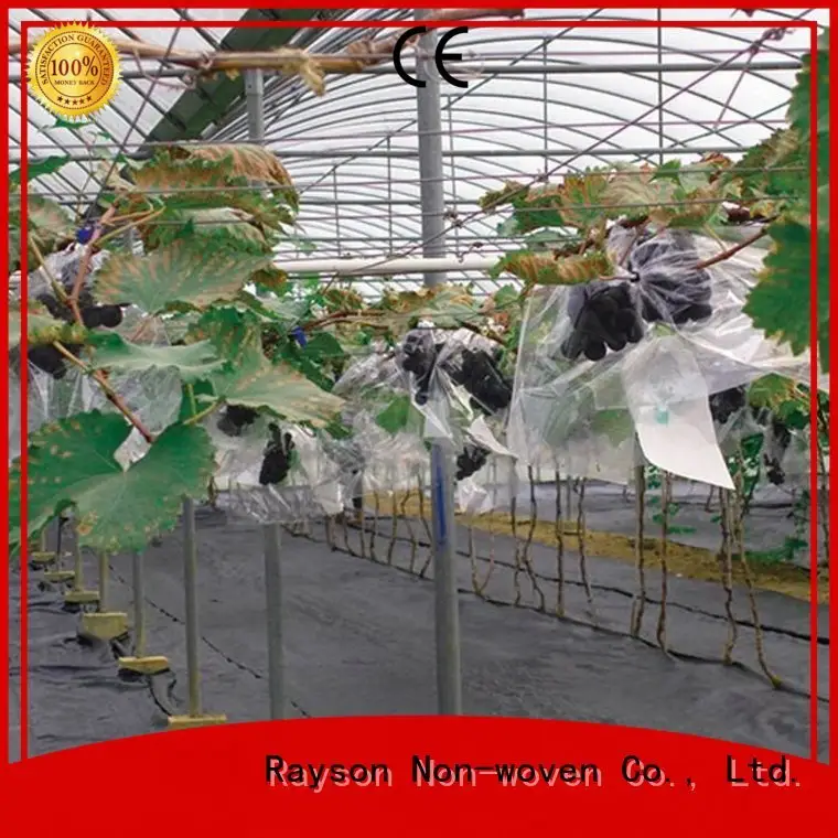 Rollo de tela biodegradable para paisaje, súper agricultura, 3m, no tejido Rayson, ruixin, empresa de marca ambiental 1