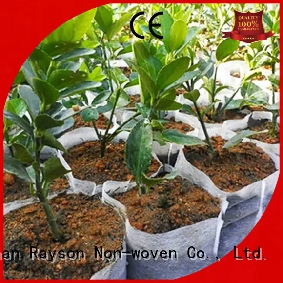 dayanıklı yaşlanma sıra garantisi rayon nonwoven, ruixin, enviro Marka biyolojik olarak parçalanabilir peyzaj kumaşı tedarikçisi 1