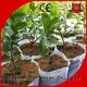 dayanıklı yaşlanma sıra garantisi rayon nonwoven, ruixin, enviro Marka biyolojik olarak parçalanabilir peyzaj kumaşı tedarikçisi 1