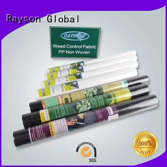 casa ecofriendly Rayson non tessuto, ruixin, ambiente Fabbrica di tessuti per il controllo delle infestanti di marca 1