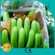baskı Özel rayon biyolojik olarak parçalanabilir peyzaj kumaşı anticold rayson nonwoven, ruixin, enviro 1
