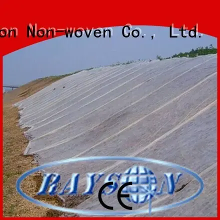 rayon nonwoven, ruixin, enviro Marka kumaşuv ev biyolojik olarak parçalanabilir peyzaj kumaşı geri dönüştürülebilir fabrika 1