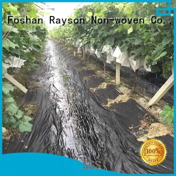 Tecido de paisagem biodegradável antimicrobiano quente molhado azul raison não tecido, ruixin, marca enviro 1