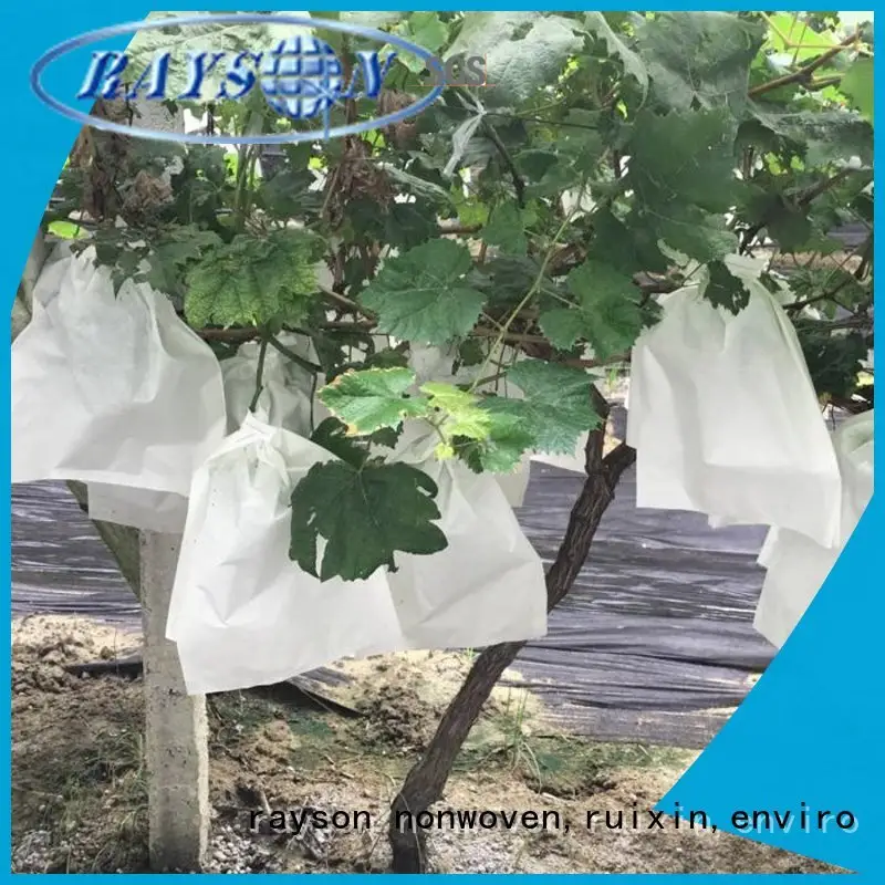 Diseño de aplicación de tela de paisaje para control de malezas, compra a granel de Rayson no tejido resistente, Ruixin, Enviro 1