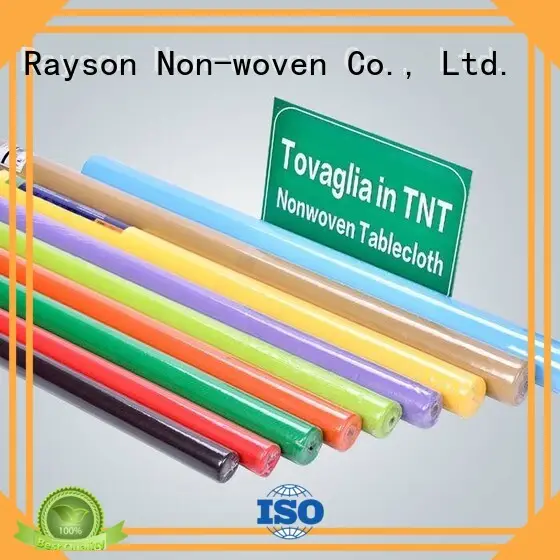 non woven polypropylene fabric suppliers pe cloth rayson nonwoven,ruixin,enviro Brand 1
