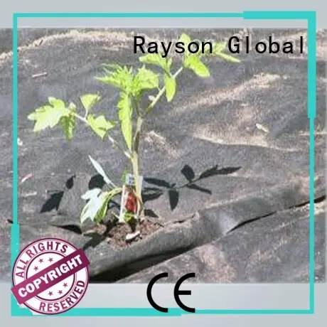Hurtownia tkanin krajobrazowych do domu, włóknina Rayson, ruixin, marka enviro 1