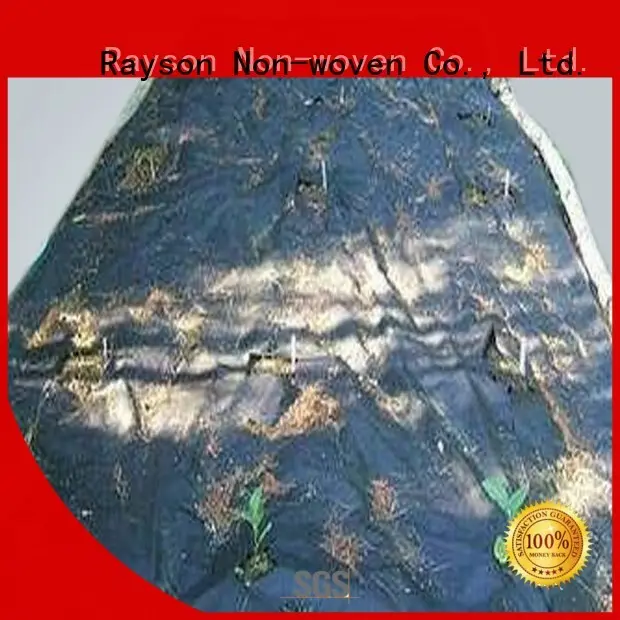 지역 노화 필름 조각 Rayson 부직포, Ruixin, 환경 브랜드 조경 직물 소재 공급 업체 1