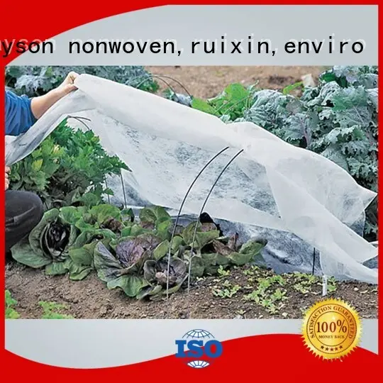 Rayson non tissé, ruixin, marque enviro protégeant le tissu de protection antiuv pour la croissance des mauvaises herbes 1
