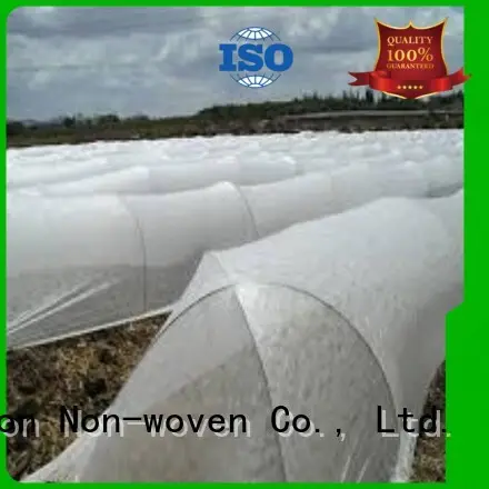 tecido de paisagem preen hidrofílico cru não tecido raison, ruixin, marca ambiental 1