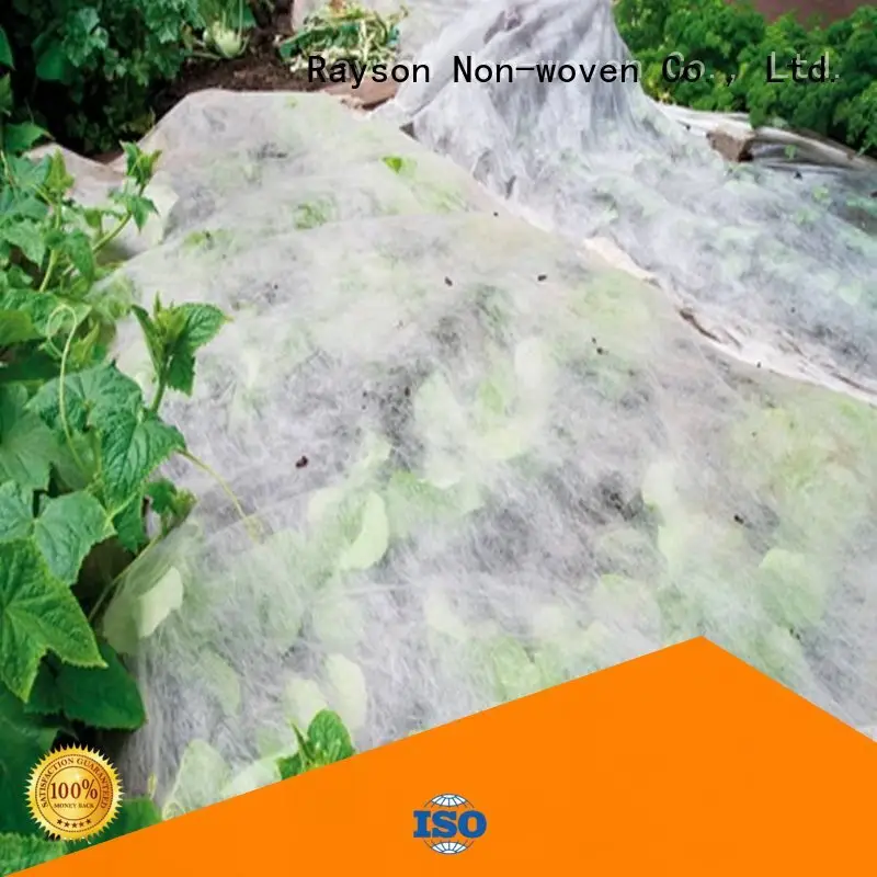 النسيج زهرة حديقة النسيج البولي بروبلين فقدان رايسون محبوكة، ruixin، شركة enviro 1