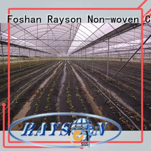 Kundenspezifischer Wasser-Antiuv-30-Jahres-Landschaftsstoff Rayson-Vliesstoff, Ruixin, Umweltboden 1
