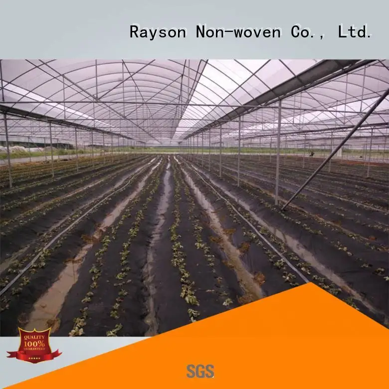Rayson 부직포,ruixin,enviro 브랜드 50gr 야채 식물 커버 30년 조경 직물 1