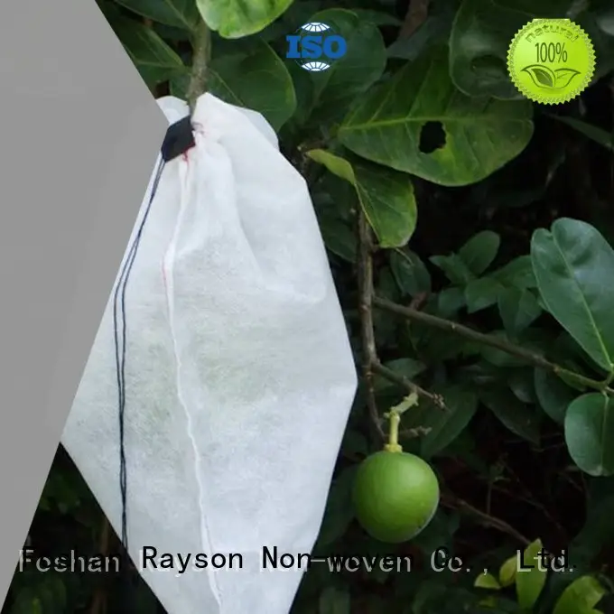 Tessuto non tessuto di qualità Rayson, Ruixin, Enviro Tessuto di marca per erbacce bianco 60 gr 1