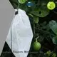 Tessuto non tessuto di qualità Rayson, Ruixin, Enviro Tessuto di marca per erbacce bianco 60 gr 1