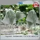 Tela OEM para malezas profesional Rayson no tejido, Ruixin, Enviro Company 1
