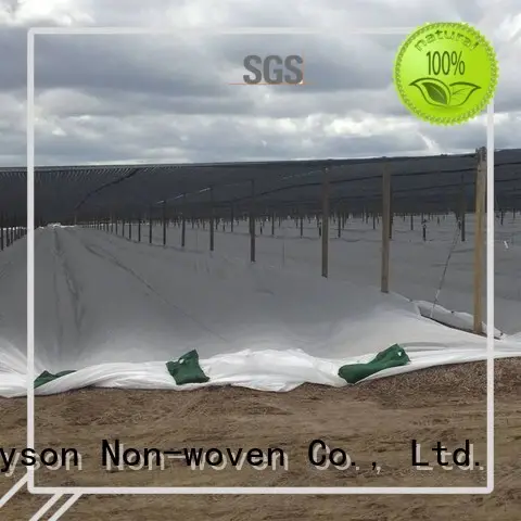 Tessuto non tessuto spunbonded da 45 m, tessuto non tessuto drenante, ruixin, produzione ambientale 1