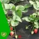 yabani ot kaplamaları için ağacı koruyan kumaş Garanti rayon nonwoven,ruixin,enviro 1