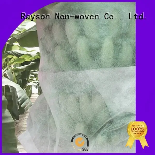 फल ऊन फूल उद्यान कपड़ा अमरूद रेसन नॉनवुवेन, रुइक्सिन, पर्यावरण 1