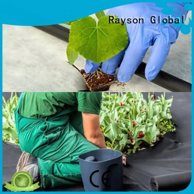 Rayson-Vliesstoff, Ruixin, Enviro Brand Saudi Fabric profitiert von 30 Jahren Herstellung von Landschaftsstoffen 1