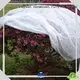 Giunzione all'ingrosso 25gr tessuto da giardino fiorito Rayson non tessuto, Ruixin, marchio ambientale 1