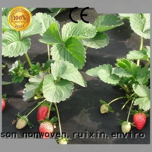 stabillized landscape fabric material 70gsm crop rayson nonwoven,ruixin,enviro company 1
