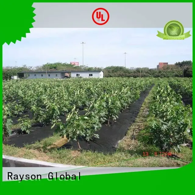 Özel popüler polipropilen 30 yıllık peyzaj kumaşı rayon nonwoven, ruixin, enviro 10 1
