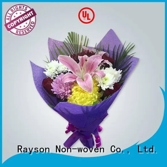 feltro fibrepet 20g aziende non tessute Rayson TNT, Ruixin, produzione ambientale 1
