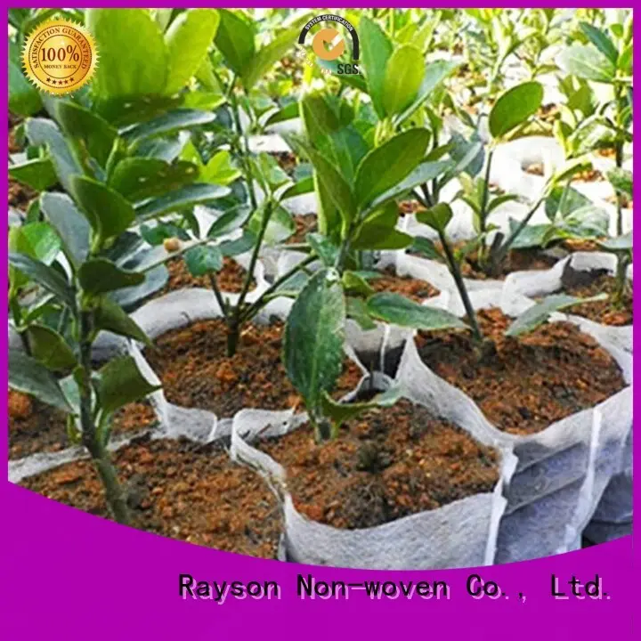 Качественный нетканый материал Rayson, Ruixin, ткань марки Enviro для защиты от сорняков, ткань SGS 1