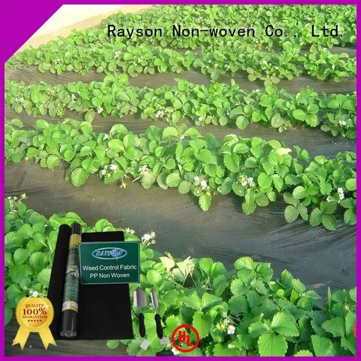 covers seed healthy rayson nonwoven,ruixin,enviro Brand 30 year landscape fabric supplier 1