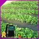covers seed healthy rayson nonwoven,ruixin,enviro Brand 30 year landscape fabric supplier 1
