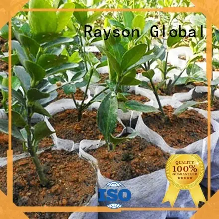 Rayson nonwoven, ruixin, enviro adedi sarma için özelleştirilmiş kalın peyzaj kumaşı 1