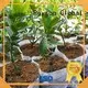 Rayson nonwoven, ruixin, enviro adedi sarma için özelleştirilmiş kalın peyzaj kumaşı 1