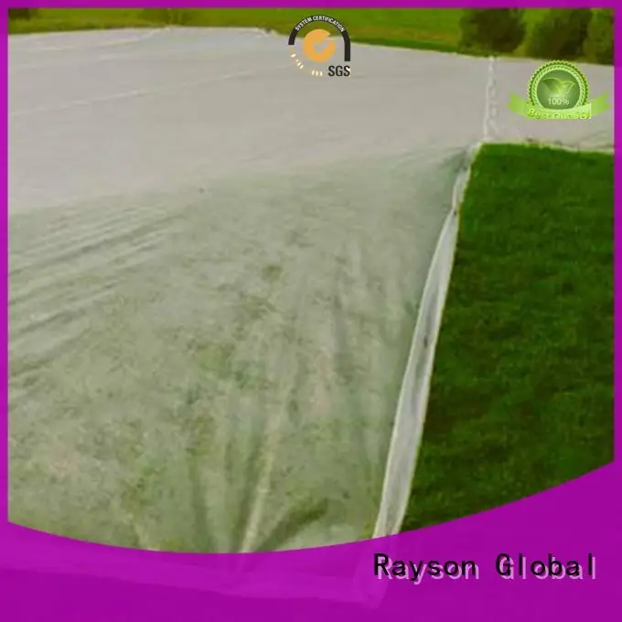 Rayson nonwoven, ruixin, mağaza için Çin'den çevre koruyucu sree ranga dokuma olmayan 1