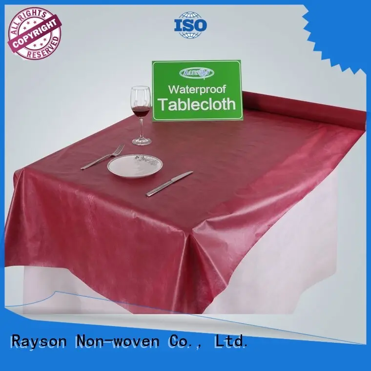 rayon nonwoven,ruixin,enviro iç mekan için kişiselleştirilmiş antibakteriyel kare masa örtüleri 1