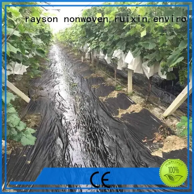 rayson 不織布、ruixin、enviro 品質のショップ用雑草防除サプライヤーのための最高の景観生地 1