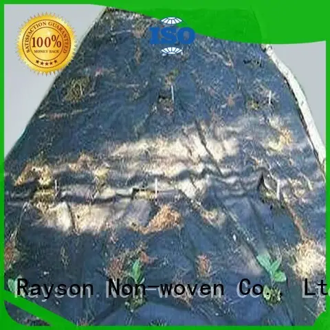 Rayson 부직포, Ruixin, 옥외용 환경 노화 조경 직물 뿌리 덮개 공급 업체 1