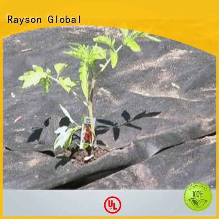 Rayson 부직포, Ruixin, Enviro 영국 의류용 프리미엄 조경 직물 공급업체 1