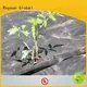 Rayson 부직포, Ruixin, Enviro 영국 의류용 프리미엄 조경 직물 공급업체 1