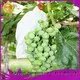 rayson nonwoven,ruixin,enviro spun brown weed control fabric design for outdoor 1