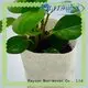 rayon nonwoven, ruixin, enviro çarşaf için delikli dokuma olmayan aşındırıcılar tasarımı 1