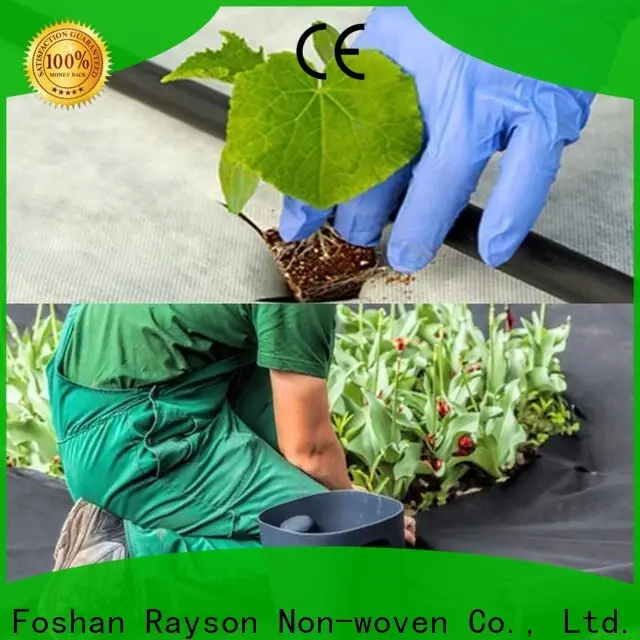 Rayson-Vliesstoff, Ruixin, langlebige Enviro-Serie für den Außenbereich 1