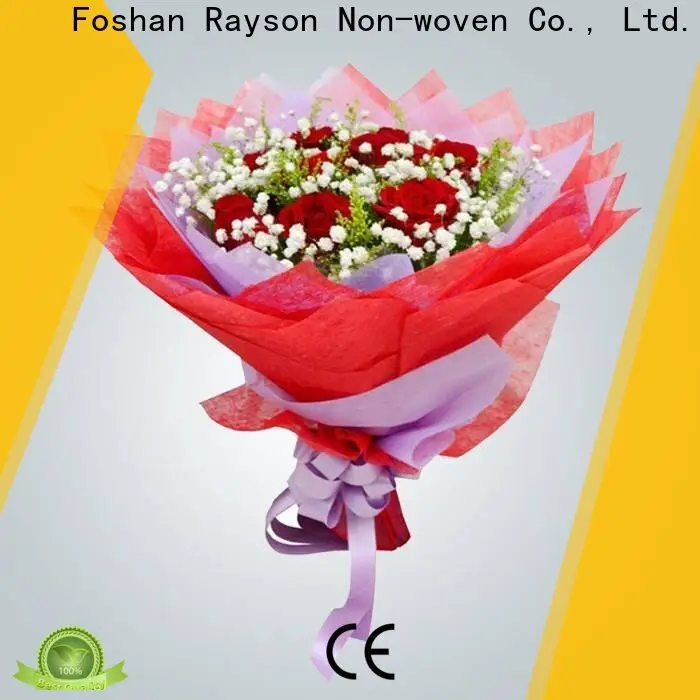 Rayson 부직포,Ruixin,Enviro 품질 포장용 부직포 가방 시리즈 1