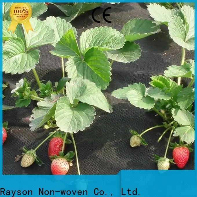 Rayson 부직포, Ruixin, 온실 맞춤형 환경 유기농 1